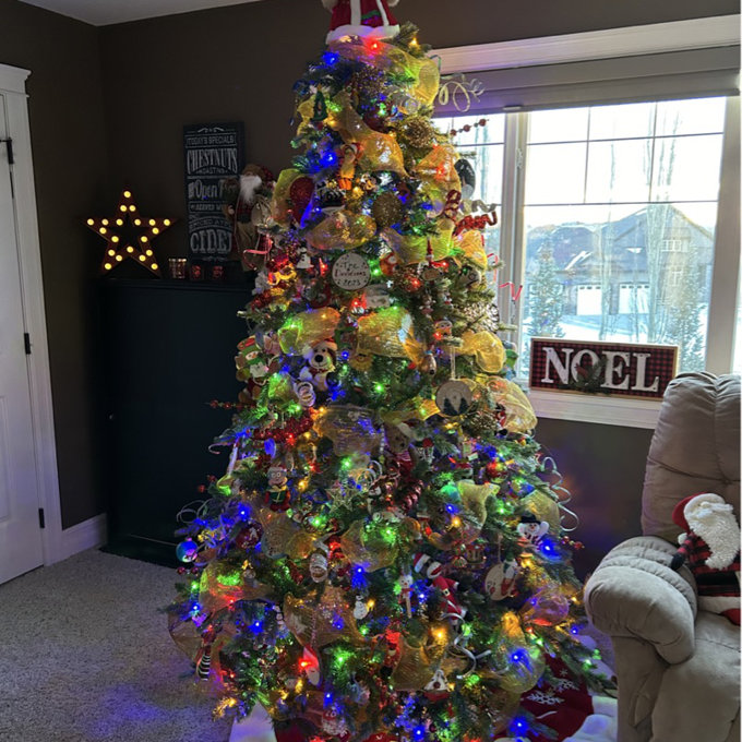 Birch Lane™ 7.5' Lighted Artificial Fir Christmas Tree & Reviews